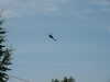 20030802132822-PICT0037.JPG
