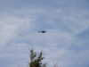 20030802132837-PICT0039.JPG