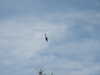 20030802133039-PICT0041.JPG