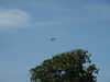 20030802140929-PICT0043.JPG