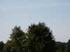 20030802143116-PICT0057.JPG