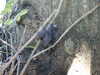 20030804102255-PICT0078.JPG