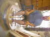 20030809134555-IMAG0245.JPG