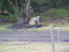 MVC-309F.JPG