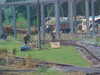 MVC-313F.JPG