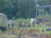 MVC-317F.JPG