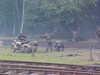 MVC-331F.JPG