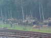 MVC-335F.JPG