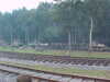 MVC-336F.JPG