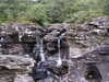 20030813100310-PICT0121.JPG