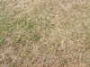 20030814123826-QICT0052.JPG