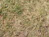 20030814123927-QICT0053.JPG