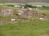 20030816155124-rict0014.JPG