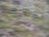 20030819113309-sICT0014.JPG