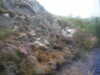 20030819120731-sICT0036.JPG