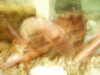 20030819132004-sICT0047.JPG