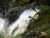 20030819172612-sICT0083.JPG