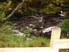 20030819172816-sICT0088.JPG