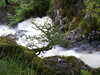 20030819172853-sICT0090.JPG