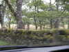 20030819174048-sICT0096.JPG