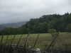 20030819174110-sICT0098.JPG