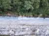 20030819201909-sICT0126.JPG