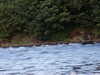 20030819202216-sICT0128.JPG