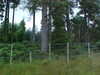 MVC-544F.JPG