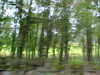 MVC-548F.JPG