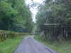 MVC-558F.JPG