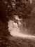 MVC-581F.JPG