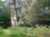 nVC-524F.JPG