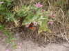 20030822144318-tict0197.JPG