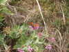20030822144335-tict0199.JPG