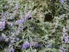 20030822145726-tict0205.JPG