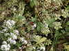 20030822150046-tict0213.JPG