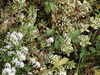 20030822150052-tict0214.JPG