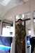 DCP_1646.JPG