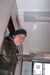 DCP_1651.JPG