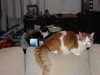 20040207082308-IMG_1951.JPG