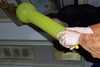 20040207230439-DCP_1848.JPG