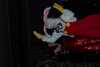 20040208231248-DCP_1874.JPG