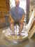 IMAG0245.JPG