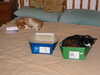 20040413093247-IMG_2120.JPG