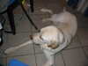 20040416082604-IMG_2124.JPG