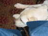 20040416102903-IMG_2129.JPG