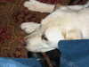 20040416102912-IMG_2130.JPG