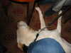 20040416104552-IMG_2131.JPG