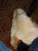 20040416104615-IMG_2132.JPG