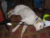 20040416110225-IMG_2141.JPG